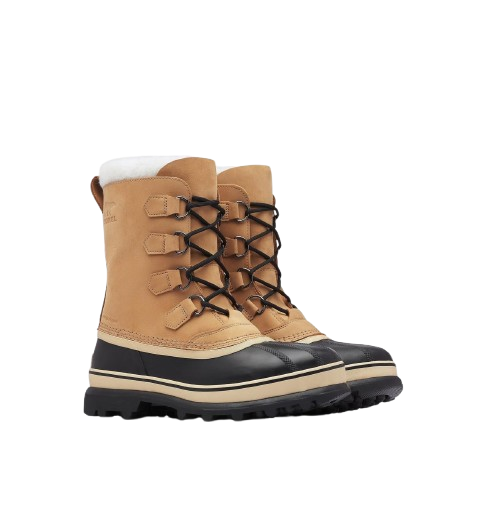 1002871 281 f2 removebg preview 1002871 281 f2 removebg preview