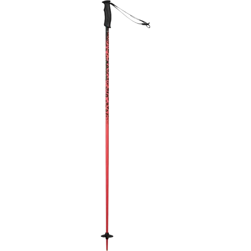 batons de ski rossignol svg removebg preview batons de ski rossignol svg removebg preview