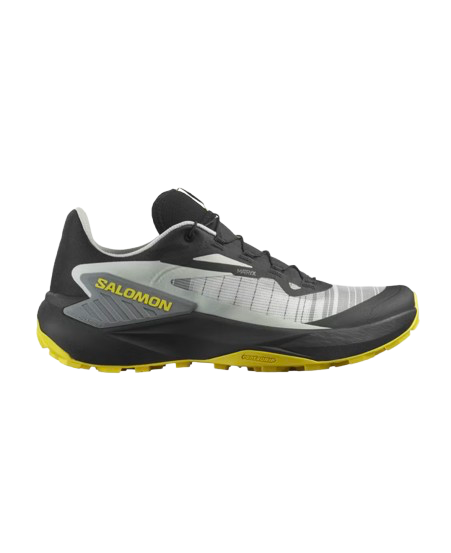 Shoes genesis black/metal/incaberry