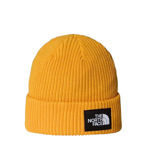 Salty lined beanie summit gold