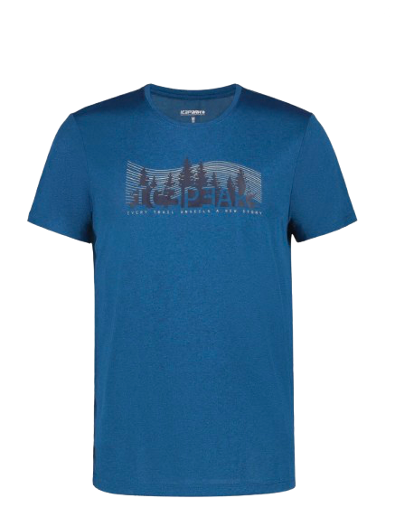 Bearden bleu