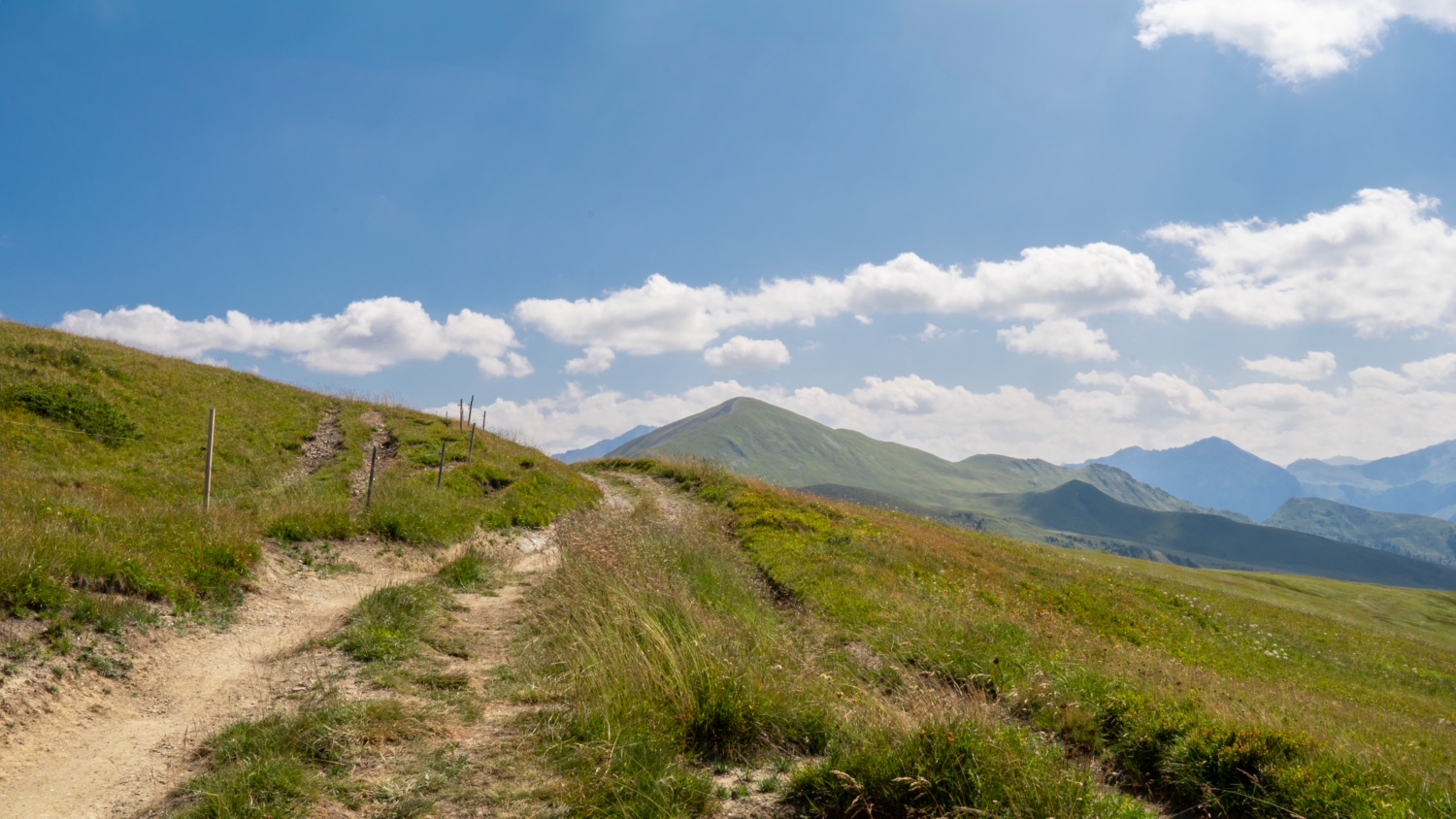 Explore the stunning meadows and mountains on a summer hike in Arosa, Switzerland.